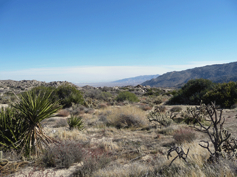 Anza Borrego