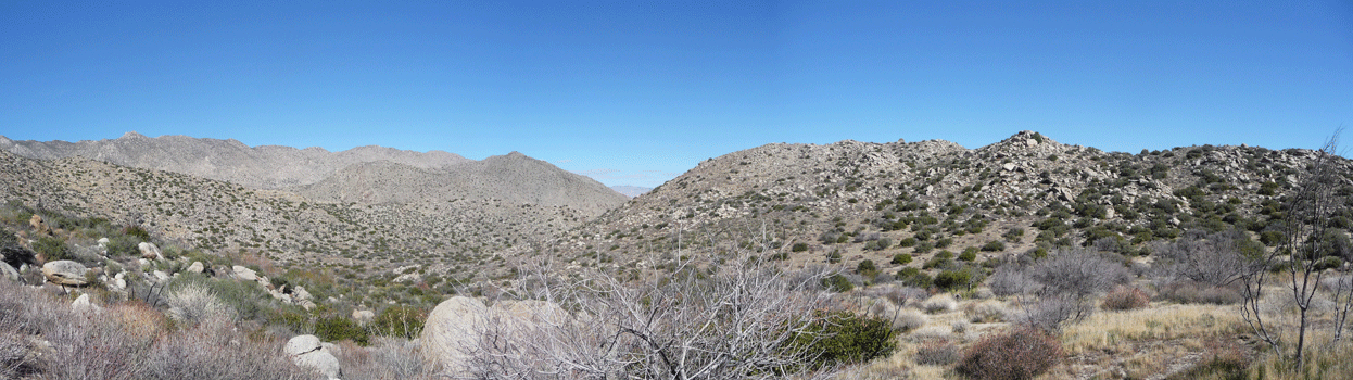 Pena Springs area Anza Borrego State Park