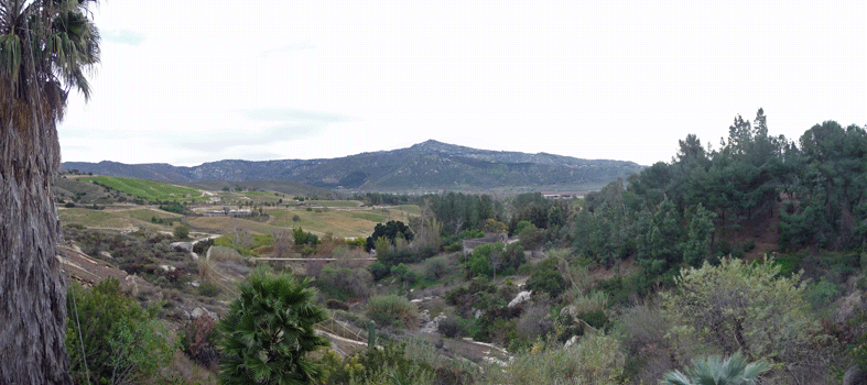 Condor Ridge Panorama San Diego Safari Park