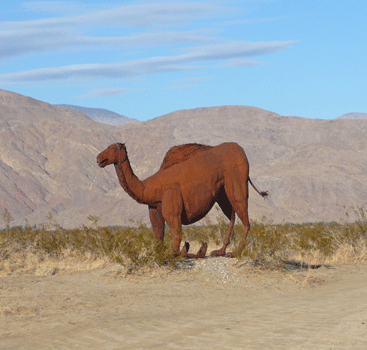 Camelops Sculpture Borrego Springs, CA