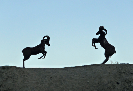 Desert Big Horn Sheep sculptures Borrego Springs CA