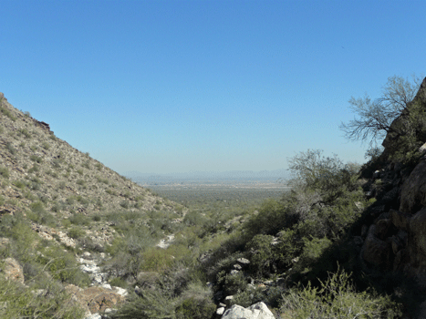 View eastward from White Tank Mountains