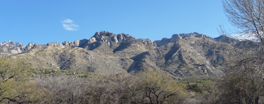 Nature Trail Panorama Catalina State Park AZ