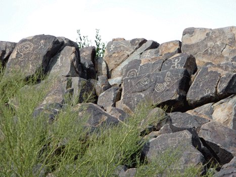 Petroglyphs Signal Hill Saguaro National Park