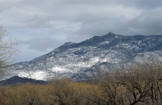 Snow on Catalina Mountains AZ