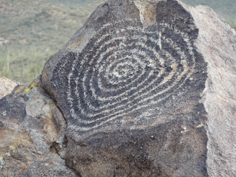 Petroglyphs Signal Hill Saguaro National Park