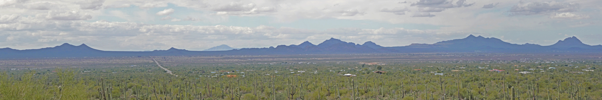 View westward from Signal Hill Saguaro National Park