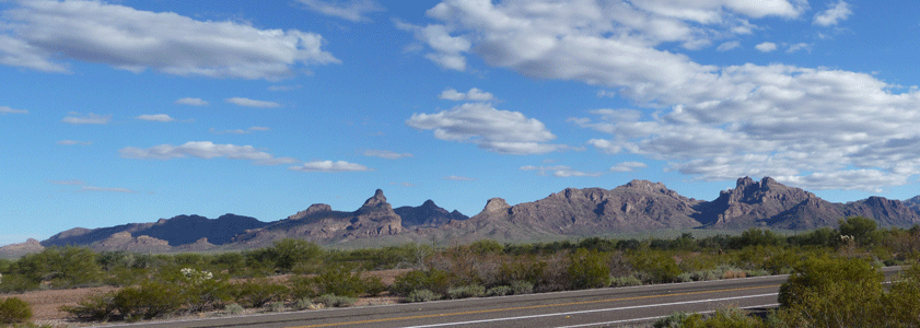 Rest stop view north of Organ Pipe National Monument
