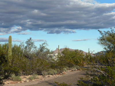 Twin Peaks Campground Organ Pipe National Monument