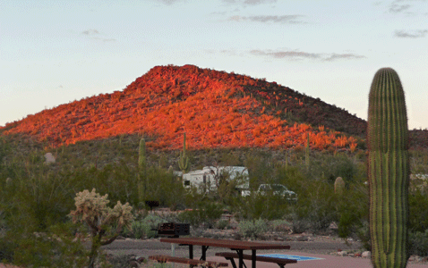 Sunset at Organ Pipe National Monument