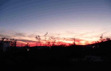 Sunset at Organ Pipe National Monument