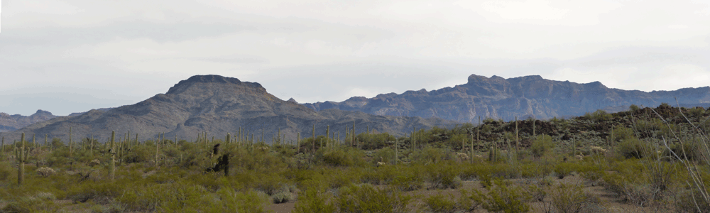 Mt Tilson and Mt Ajo Organ Pipe National Monument