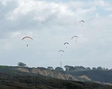 Paragliders Torrey Pines State Reserve CA