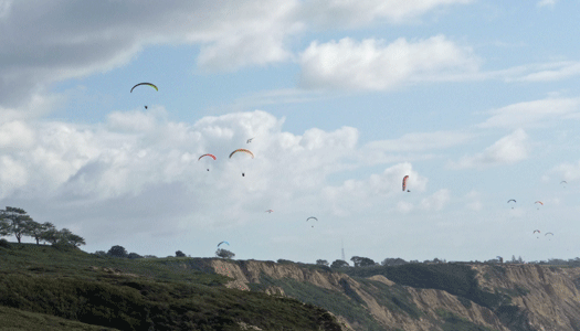 Paragliders Torrey Pines CA