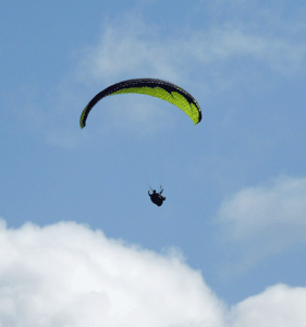 Paraglider Torrey Pines State Reserve CA