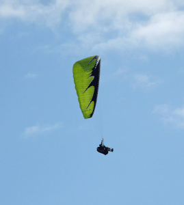 Paraglider Torrey Pines State Reserve CA