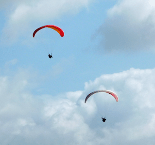 Paragliders Torrey Pines CA