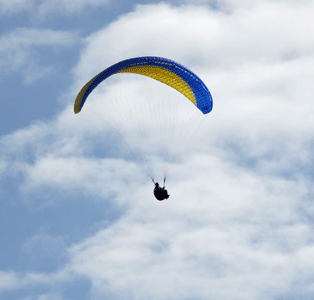 Paraglider Torrey Pines State Reserve CA