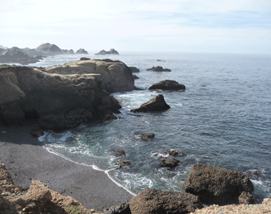 South Shore Trail Point Lobos Reserve