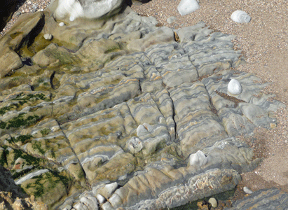 Rock formations Point Lobos Reserve