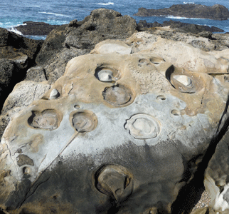 Rock formations at Point Lobos Reserve