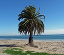 Refugio State Beach CA