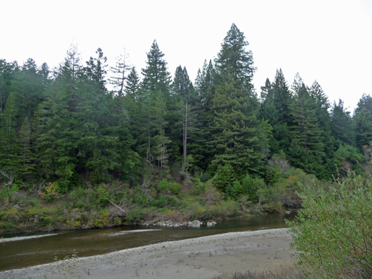 Eel River from Big Redwoods RV Park Myers Flat CA