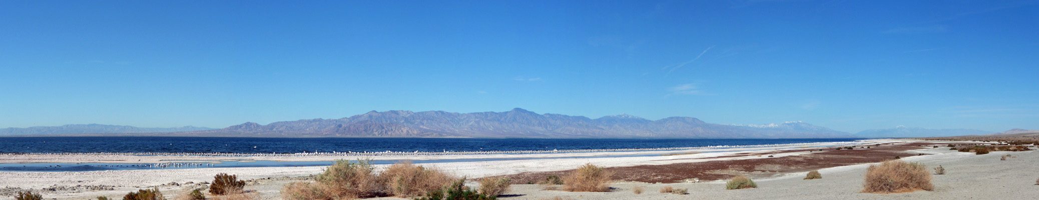 Salton Sea Panorama