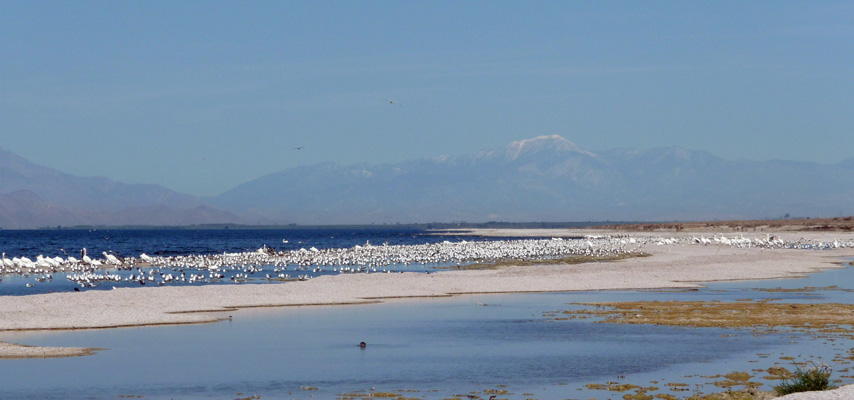 Salt Creek area Salton Sea