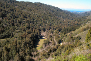 Big Sur Valley