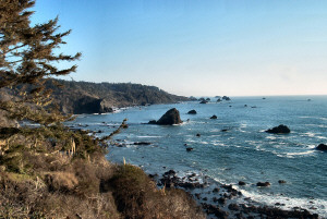 Palmer Point, Patrick's Point State Park looking south