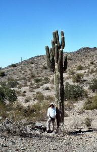 Walter and Saguaro cactus