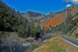 Merced River Poppies