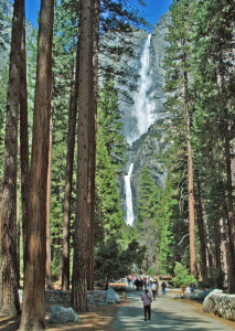 Yosemite Falls from trailhead