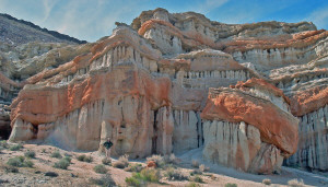 Walter at Redrock State Park