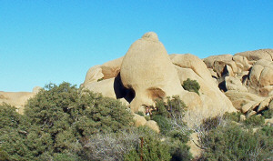 Skull Rock