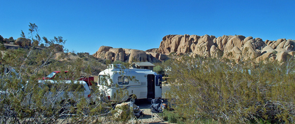 Rosita at Jumbo Rocks Joshua Tree National Park