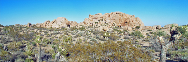 Skull Rock Trail View