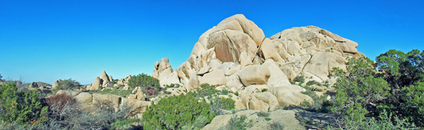 Skull Rock Trail