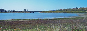 Batiquitos Lagoon, Carlsbad, CA