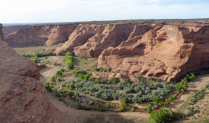 White House Overlook