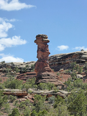 Elephant Hill Rd view