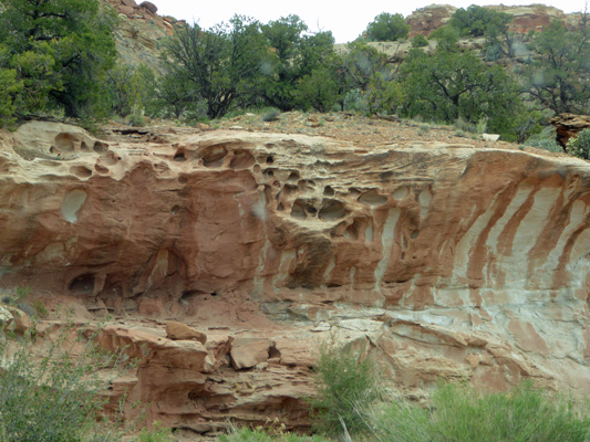 Scenic Drive erosion patterns