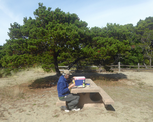 Walter Cooke picnic table New River