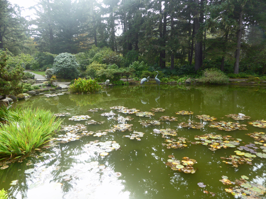 Shore Acres pond