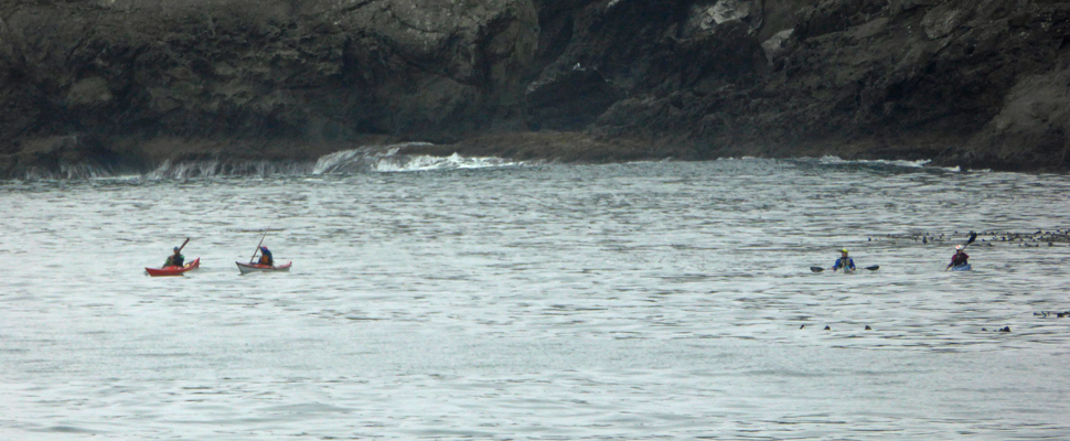 Kayaks Port Orford