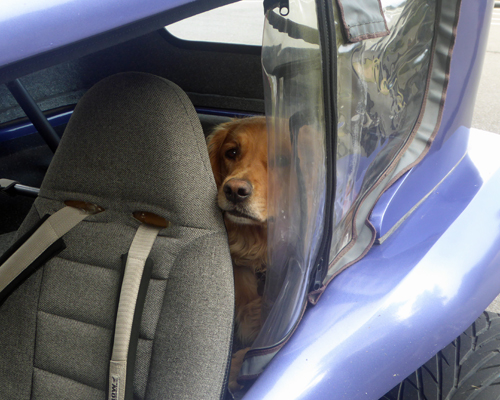 Dune buggy guard