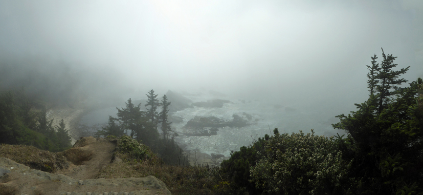 Cape Arago south in fog