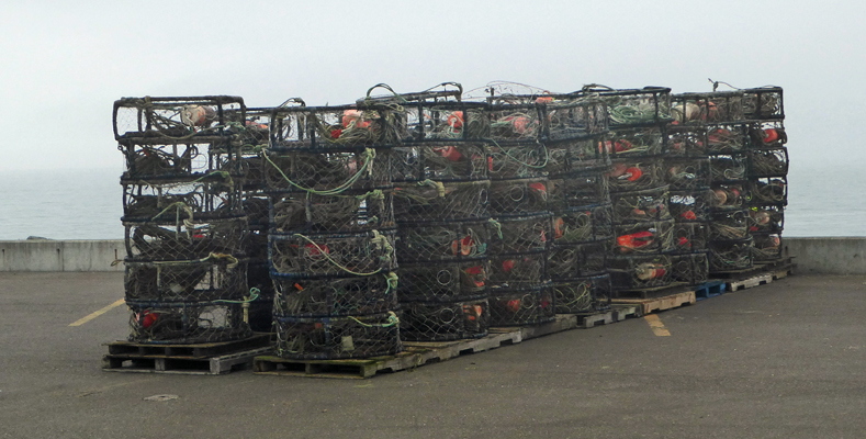 Crab pots Port Orford