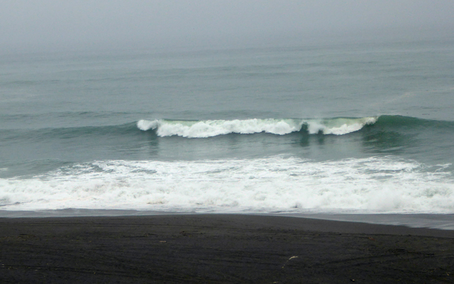 Surf Paradise Point Port Orford